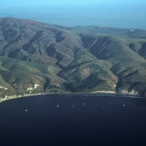 Smugglers Cove, Santa Cruz Island