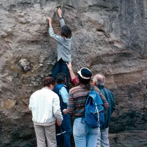 fossil hunting with Dan Axelrod, Cañada de Los Sauces, Santa Cruz Island
