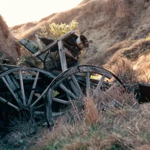 wagon gulch, near Christy Ranch, Santa Cruz Island