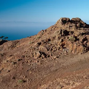 sheep damage, upper Laguna- upper Sauces Canyon- looking North, Santa Cruz Island
