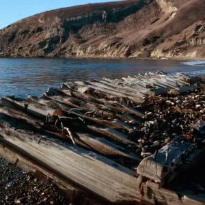 shipwreck, Smugglers Cove, Santa Cruz Island