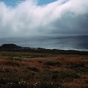 North of Cardwell Point, San Miguel Island