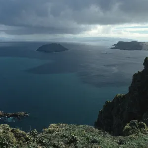 Prince Island, Cuyler Harbor from Devils Knoll, San Miguel Island