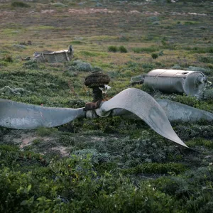 plane wreck, East side of Green Mountain, San Miguel Island