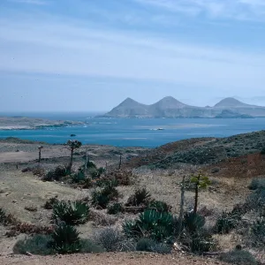 Looking towards East San Benito Island from north side of West San Benito Island