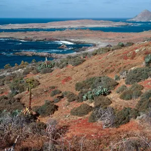 North side of West San Benito Island, looking towards Middle and East San Benito Islands