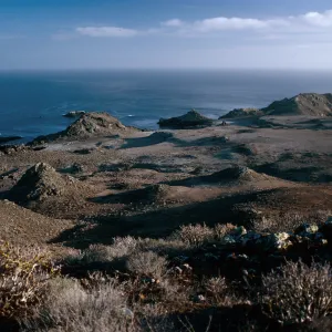 Mammillaria, Euphorbia, East San Benito Island