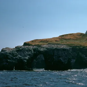 Arch Rock, East Anacapa Island
