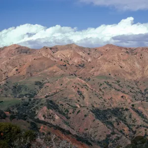 South-facing slopes in Central Valley, from ridge route, Santa Cruz Island