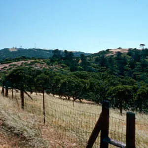 view of navy facility, Santa Cruz Island