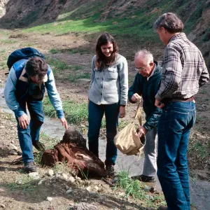 fossil hunting with Dan Axelrod, Cañada de Los Sauces