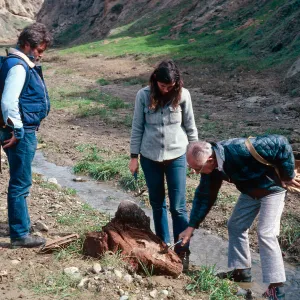 Fossil Hunting with Dan Axelrod, CaÃ±ada de los Sauces, Santa Cruz Island (Steve Timbrook, Mary Carroll, Dan Axelrod)