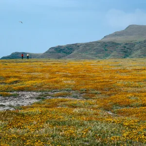 Fraser Point, Santa Cruz Island