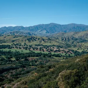 Oak Savannah view from Highway 154
