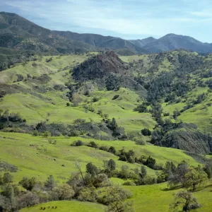 Happy Canyon, looking East from De La Guerra Springs turnoff, Santa Barbara County