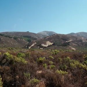view from beginning of Coon Creek Trail, Montaña de Oro, San Luis Obispo County