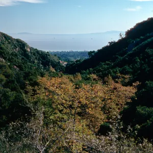looking down West fork of Cold Springs Canyon, Santa Barbara County