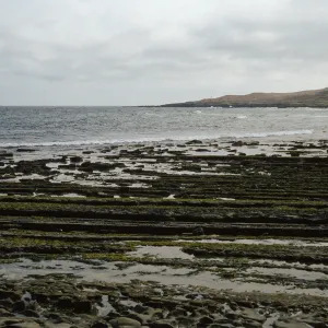 Red Eye Beach, San Nicolas Island