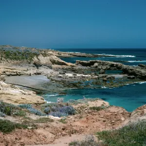 North shore below compound, San Nicolas Island