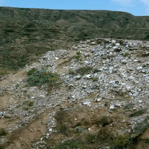 Midden, Above Daytona Beach, San Nicolas Island