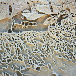 sandstone patterns, Daytona Beach, San Nicolas Island