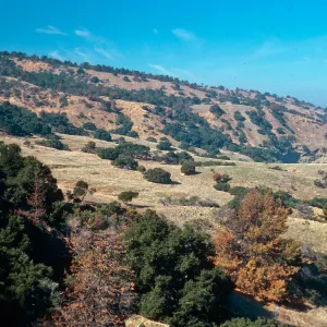 looking West toward Pelican Harbor, Santa Cruz Island