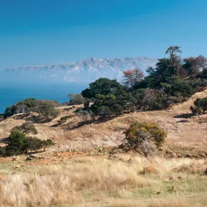 looking East, just East of Pelican Harbor, Santa Cruz Island