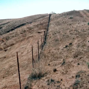 fenceline, South ridge, West of El Tigre, Santa Cruz Island