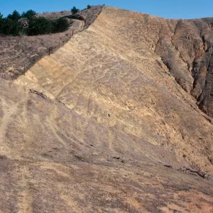 sheep damage, upper Laguna - upper Sauces Road - looking North, Santa Cruz Island