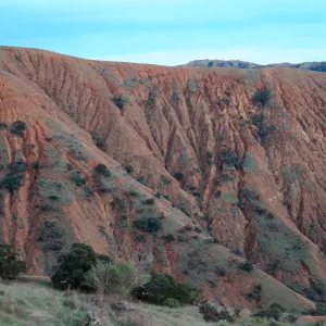 erosion in upper Willows Canyon, looking East from Willows Road, Santa Cruz Island