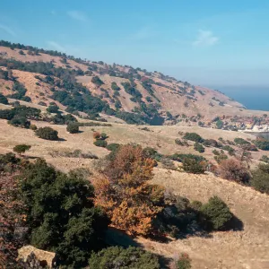looking West toward Pelican Bay, Santa Cruz Island