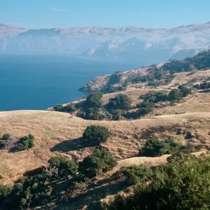 looking East from near Pelican Harbor, Santa Cruz Island