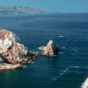 Potato Harbor, Santa Cruz Island