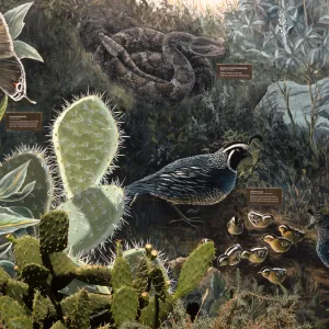 mural at airport, Santa Catalina Island