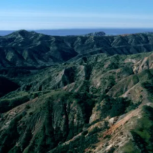 Central Valley at Cañada Del Puerto, Santa Cruz Island