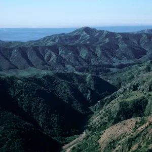 Cañada Del Puerto, Central Valley, Santa Cruz Island