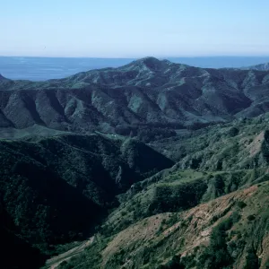 Cañada Del Puerto, Central Valley, Santa Cruz Island