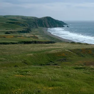 Christy Beach, Santa Cruz Island