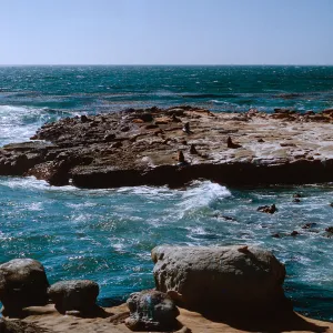 3/ wave cut bench - Sea Lions, 65-98 & SN-15