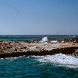 3/ wave cut bench, Sea Lions, looking Northwest, 65-100 & SN-17