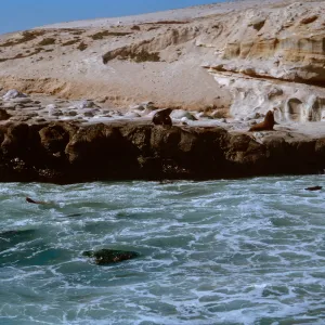 3/ Sea LIons, looking Northeast along Sea Lion Beach, 65-105 & SN-22