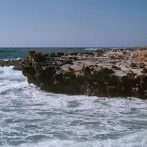 3/ Sea Lions, looking North along Sea Lion Beach, 66-106 & SN-23