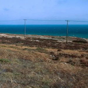 6/ Coreopsis stand from above - looking Northeast, 65-128 & SN-45