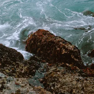 12/ waves & reef, 65-159 & SN-76