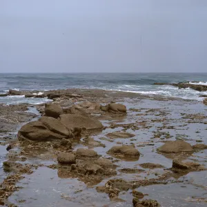 14/ algae collecting site near carrier, looking North, 65-179 & SN-96