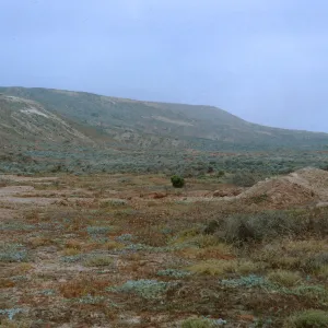 17/ looking Northwest along East facing coast, North of Army Camp Beach, 65-184 & SN-101