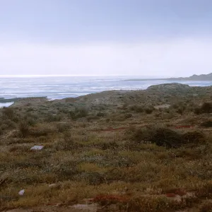 17/ looking Southeast along coast from North of Army Camp Beach (in background), 65-185 & SN-102