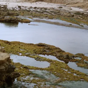 19/ tide pools & Corral Harbor - looking Southwest, 65-194 & SN-111
