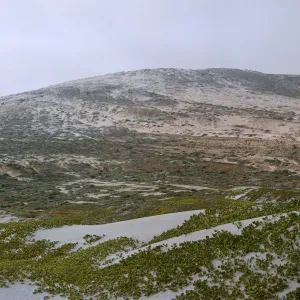 20/ looking South from Tender Beach, Northeast end of island, 65-199 & SN-116
