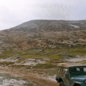 20/ looking Southeast from Tender Beach at Northeast end of island- note: Abronia covering dunes, 65-200 & SN-117